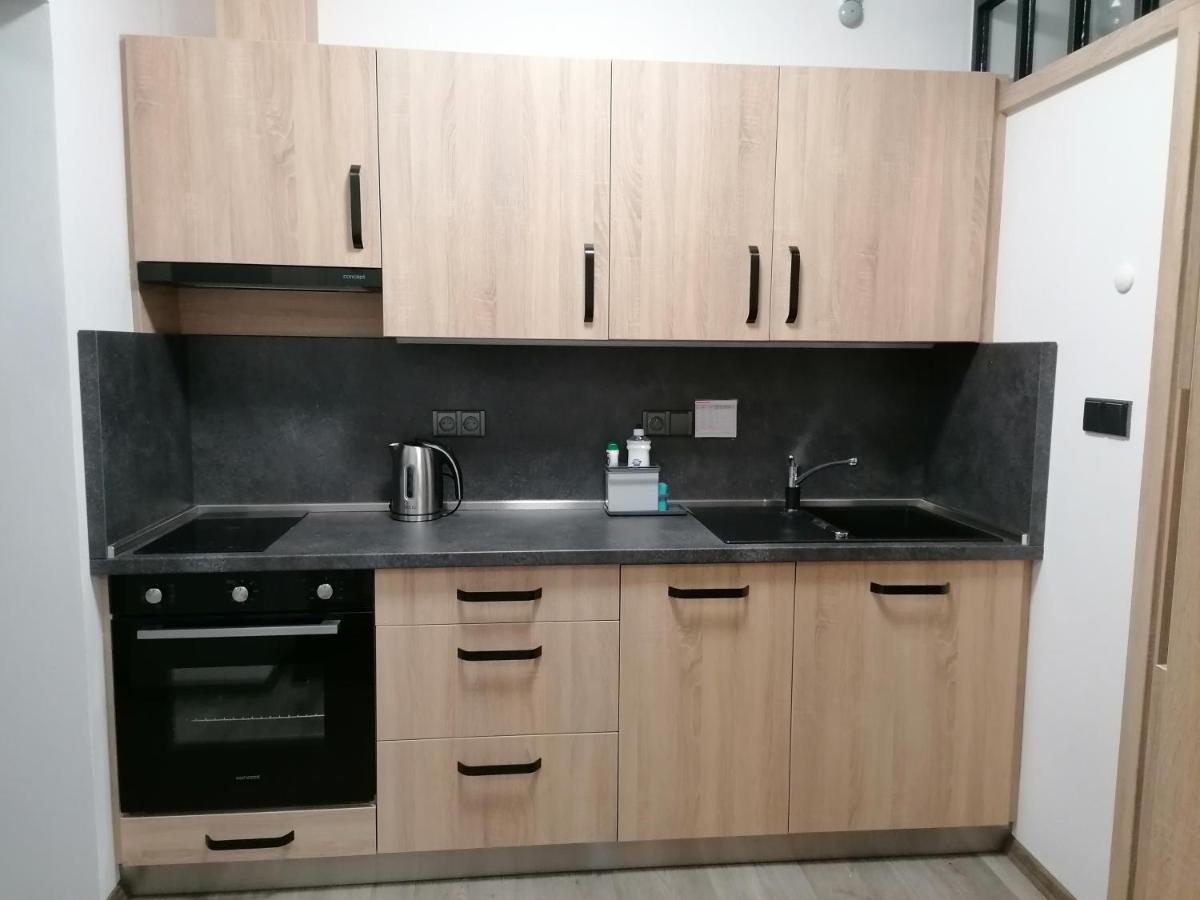 Apartman 88 Červená Voda Bagian luar foto